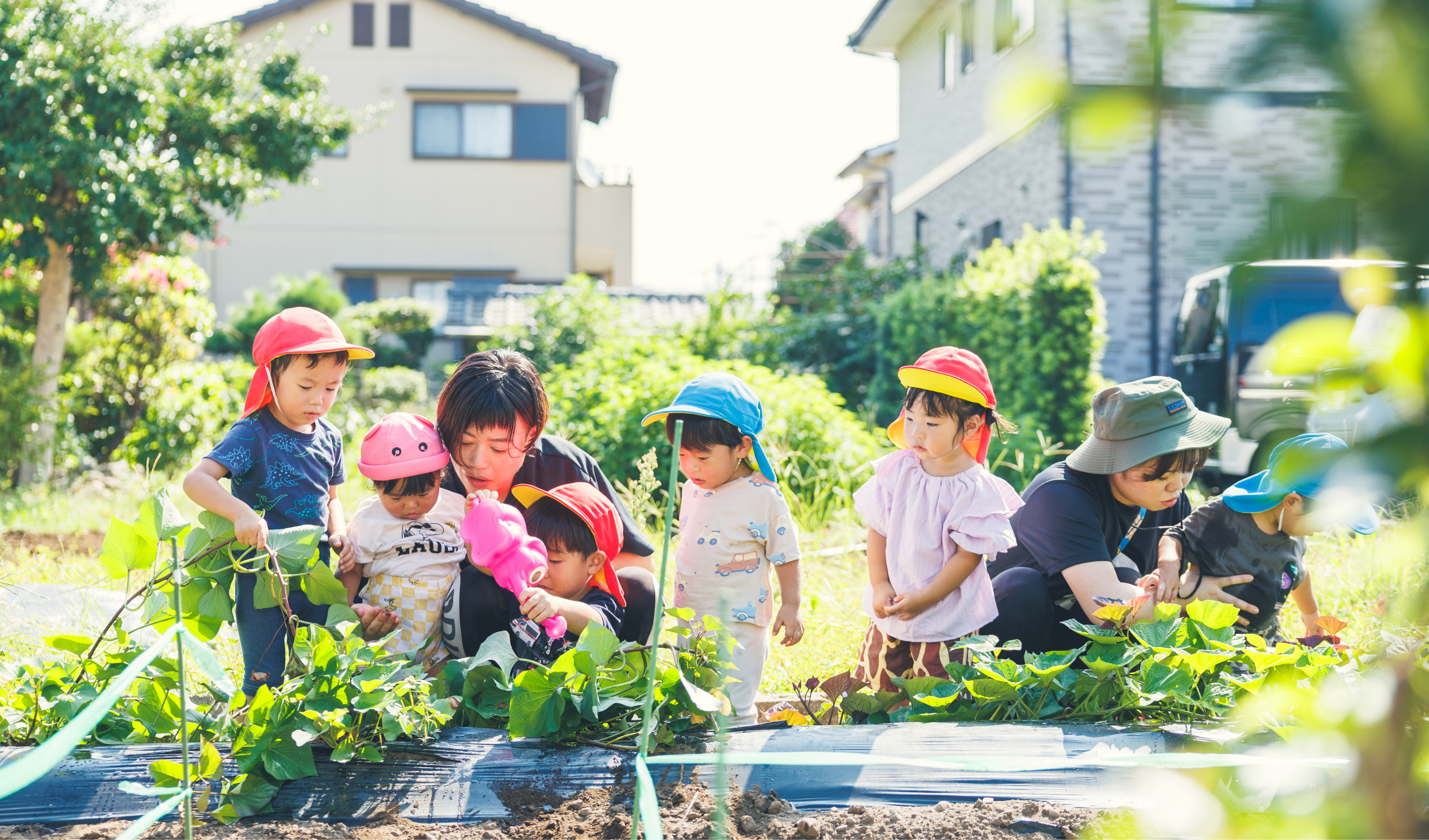 とみのはら保育園のイメージ